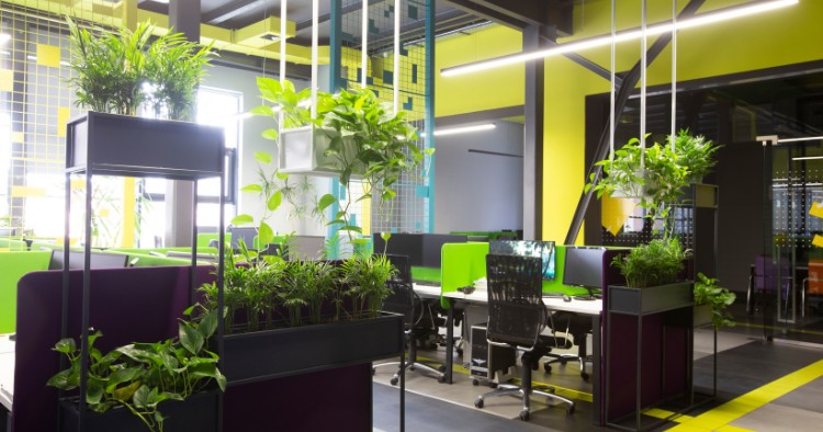 Modernes Büro einrichten mit Pflanzen