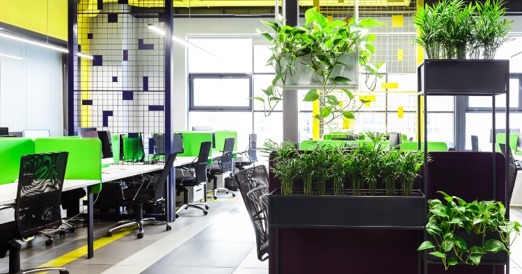 Büro einrichten und zu grünen Orten machen